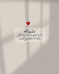 خلف البزل • ثعالبة محلة ٣٦١ • ١٠٠م