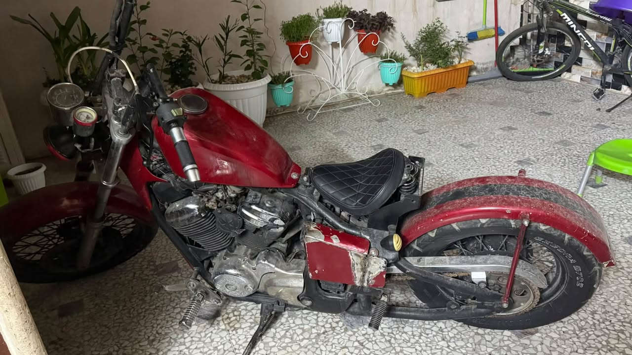 ستد ببر • مكفولة • نواقص بسيطة