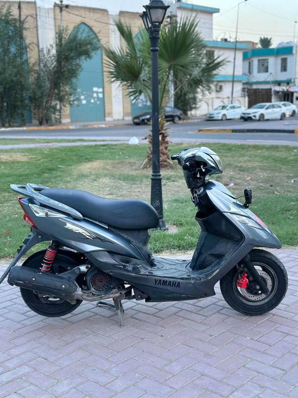 ثعلب • نظيفة • رياضية