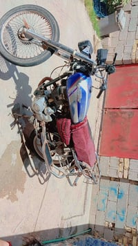 بارت • ٢٠١٩ • اوراق