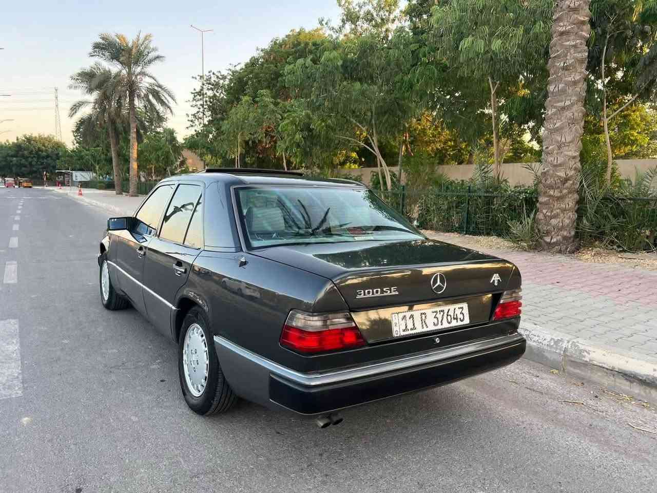 دب • ٩١ • مرسيدس