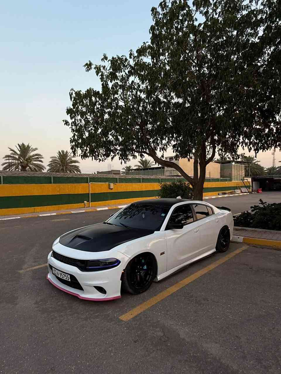 السلام عليكم  للبيع او مراوس
جارجر  23    V8   ابيض صدفي

رقم بغداد باسمي  شخصيآ

ماشية  31km  يعني 19mi 

كير ومكينة شرط برغي ممفتوح بيهن  كفالة  حدادية شرط برغي ممفتوح بيها كلهن وكالة موبار وبلكارتون 

الحادث 

جاملغ وبنيد.    دواخل مكفولة شرط فحص. فحص  
عندي بارد بيها بدور مال باب ميبين اله سونار 
 

المواصفات  /فول الفول عدى الفتحه 

شاشة كار بلي / كشنات كهرباء.  جلد  /رادار جانبي /حساسات خلفية/ كامرة /كشنات تدفئة  وبعد هواي مواصفات 

_______________________

الاضافات 

* جكات. S3.  بعدهن بالضمان صار شهرين من شديتهن 

* دركه اربي ام امريكية / بلون سياره 

*اكسل قفل 3.9. 
* فجوج. 6 بستم الحديث 
* ثلاجة.  Srt 
*كيج AFR 3
* هدرز. Bbk شورت 
* كزوز تفصال علي الوادي 
* ولف حماوة مشميتو.  82 
* فيتبم. ول برو. 
* بلكات. ريسنك.
* ويل. SRT  امريكي مختم.
* تخم تاير جديد شرط ياباني 

* وهواي شغلات بعد  لصبح متخلص 

الي تخدمه بجيني وعيوني اله  وياخذ سياره يندعيلي ع نضافتها وترتيبها ومهل بيها  وانشاء الله الي يجيني ميرجع من يمي واله هو راضي وعيوني اله 

 ***********
