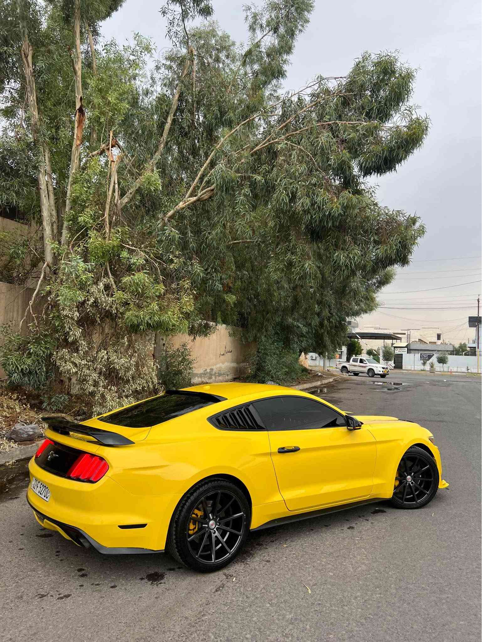 موستانغ ايكو بوست • ٢٠١٧ • أربيل
