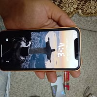 اكس ار • ذاكرة ٦٤ • قفل ايكلود