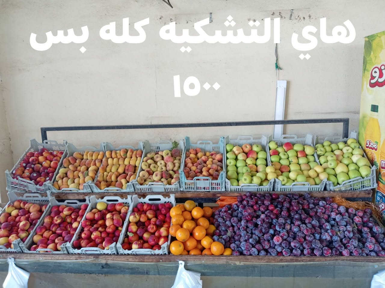 يالله بعد التوكل عله الله اليوم الثلاثاء المصادف ٢٥ /٨ الزرع درجه اولا خط اول والتشكيله خير من الله مابيه نقص المكان طالب العلي امام اسواق الراشدية علوة القريه واني بخدمتكم واكو توصيل *********** سلام ابو ريم الجميلي كل الهلا بيكم
