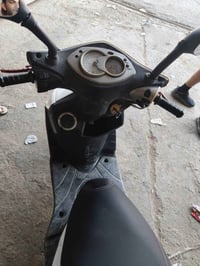 سكنس • فحل • نوزل خطين