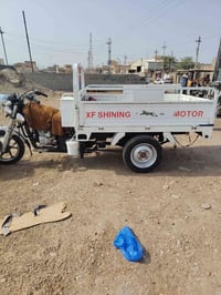 ستوته • جمره • فحل
