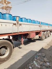عربانه أوربية • نص جناب • واسط