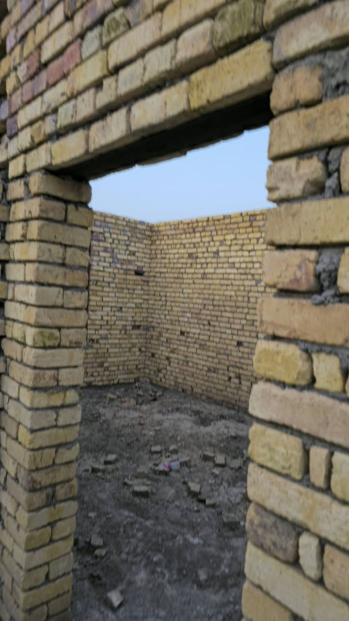 هيكل • ٣٠٠م • حي الملايين