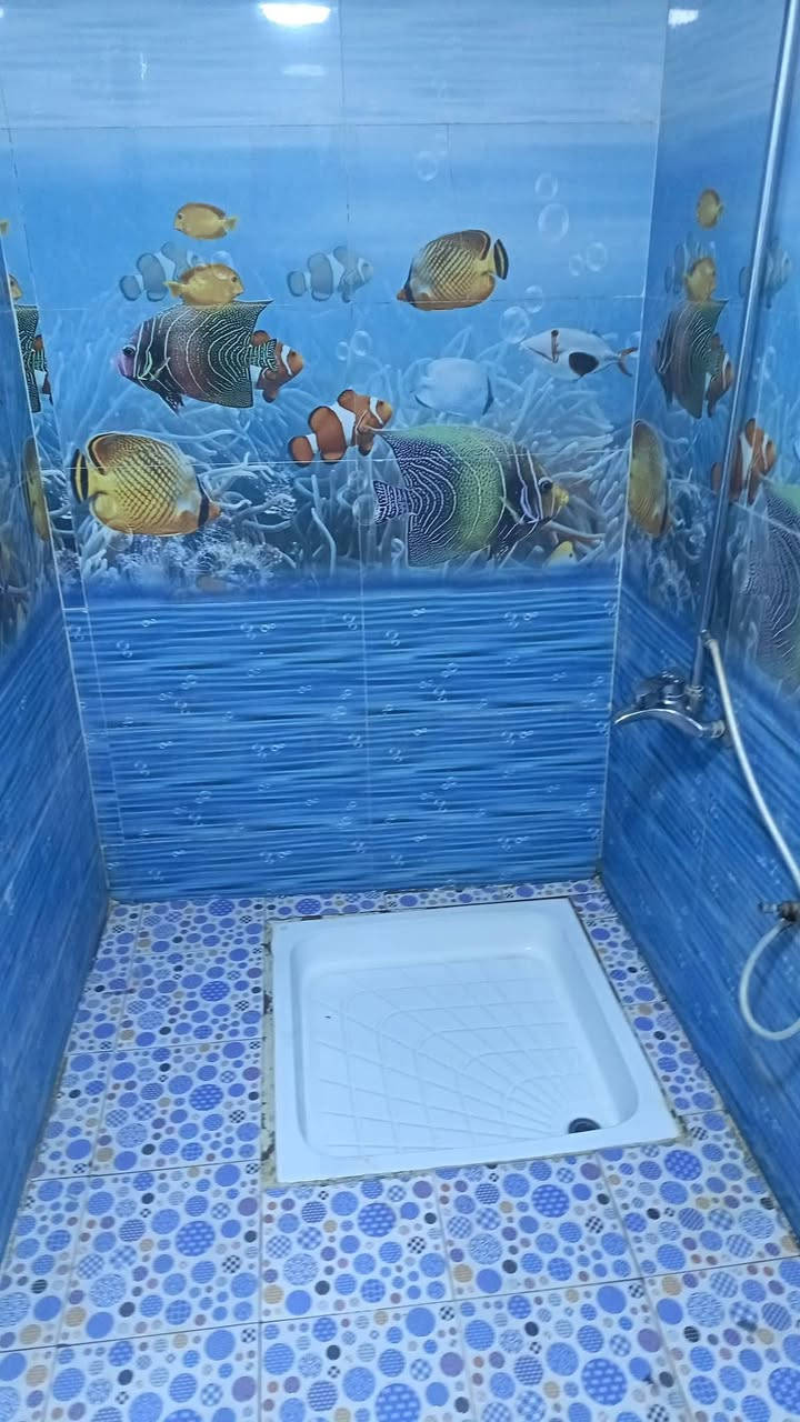 السلام عليكم ورحمة الله وبركاته يوجد الدينا
بيت للبيع زراعي سند 25 مرقم بالبيديه وجاهز بي معاملة تطويب الموقع قضاء الدغاره حي الشهداء قرب مدرسة الدغارة الابتدائية للبنين خلف دكتور حسن
المساحة 240متر  يحتوى
على غرفتين نوم وصالة  واستقبال مطبخ وصحيات خارجية وصحيات داخلية حديقه كراج الأساس كونكريت مسلح السقف عكاده طابص واحد 

ألاتصال عله الرقم ***********
