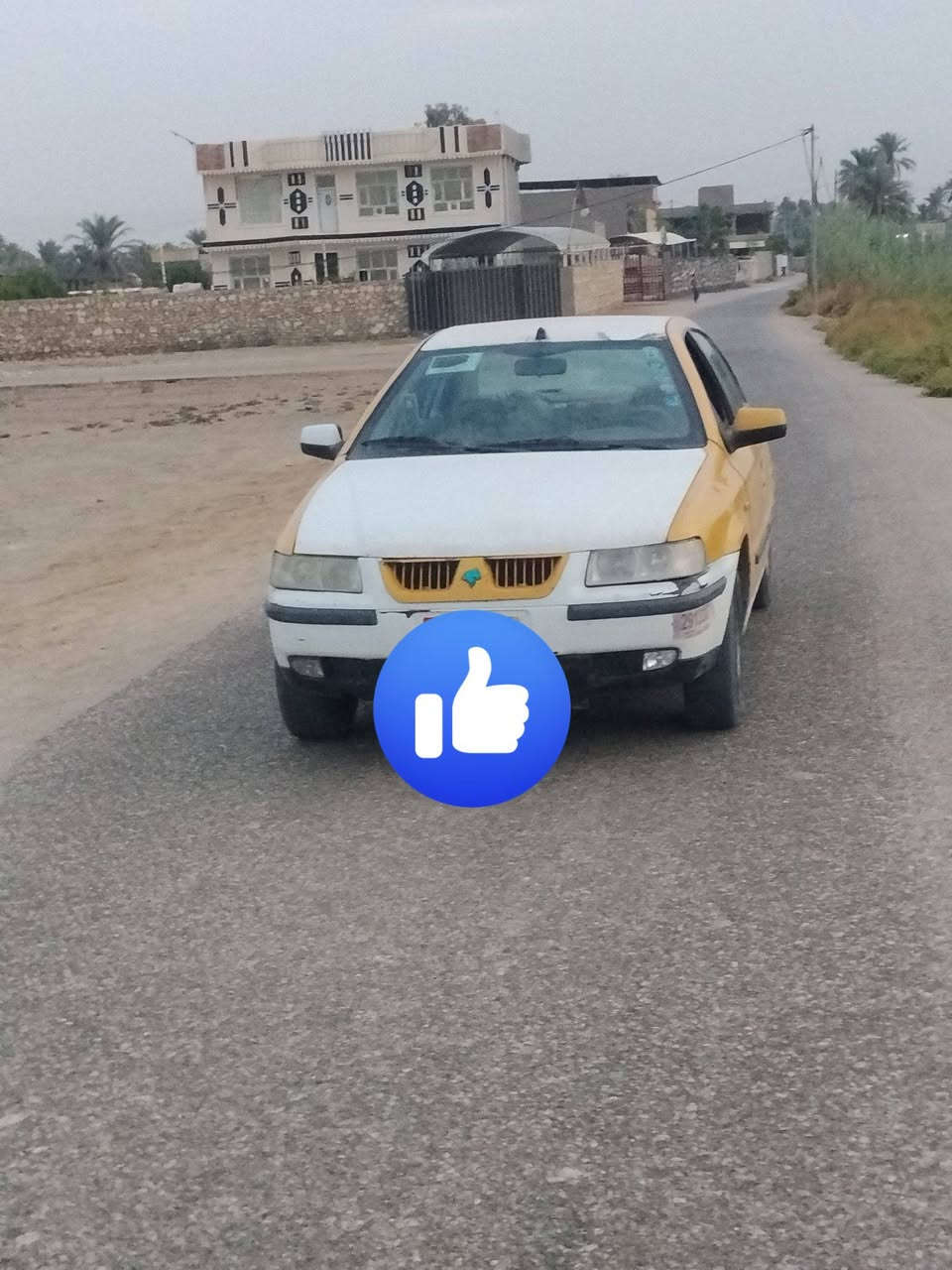 مراوس • للبيع • بابل