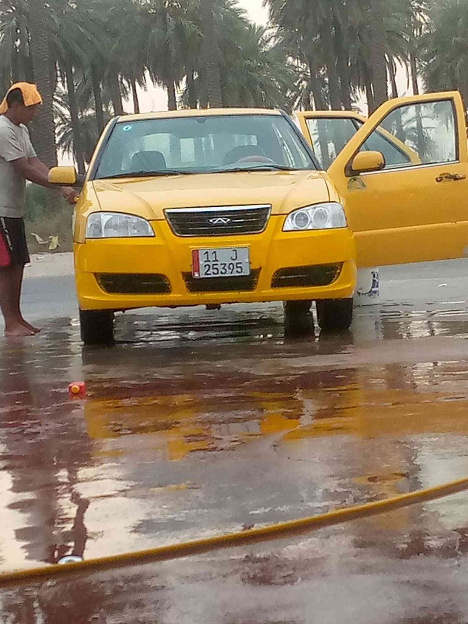 شيرك وين • ٢٠١٠ • تحويل مباشر