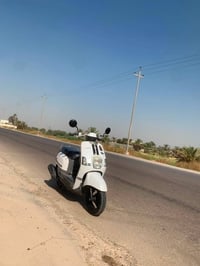 بوليس • ابيض • بوشة بلادية