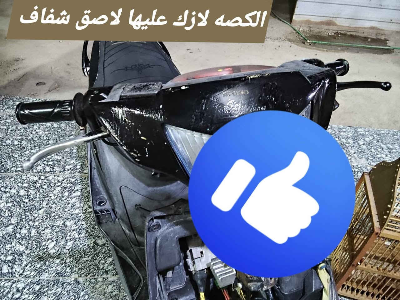 كفر عدله بلادي فول نضافه ليطهن كاملات مثل ماموضح بلصورة بس شراي يتصل*********** +دبل خلفي ذهبي على مشمشي ابو البطل بلادي مكاني بصرة توصيل موجود
