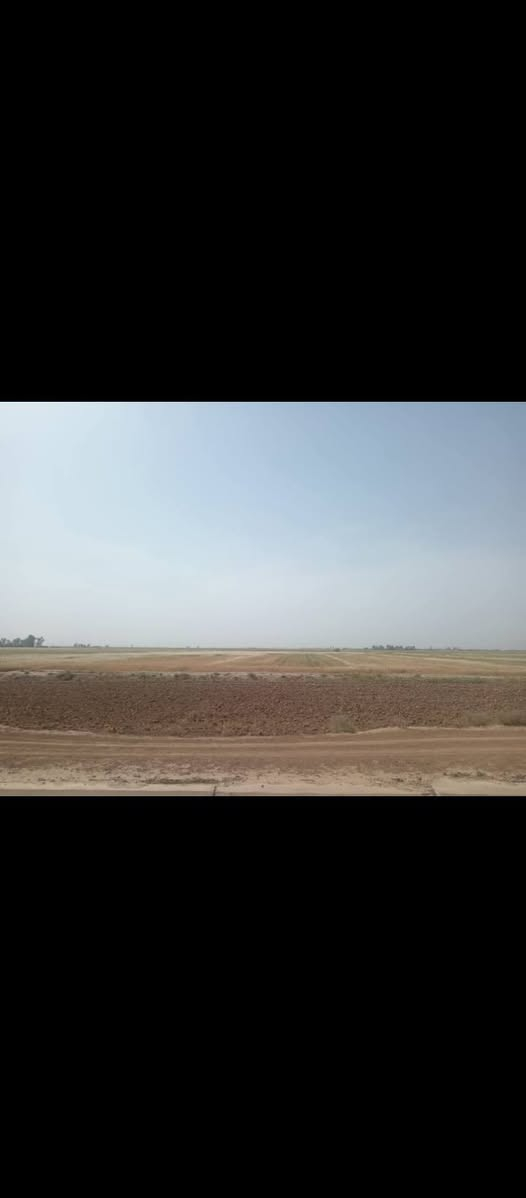 طريق شاشه سوان • ارض زراعي • ٥ دونم
