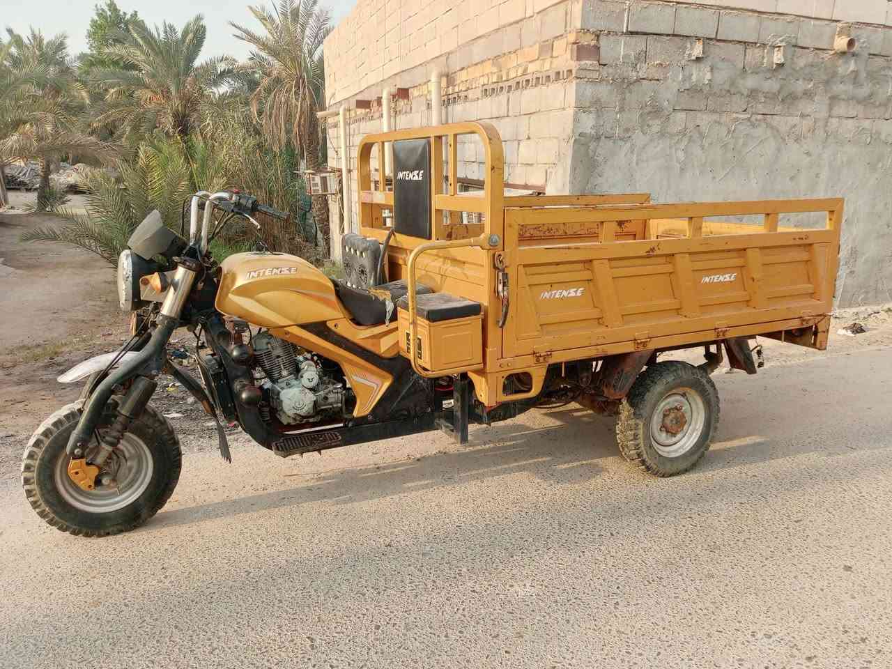 ستوته • مديل ٢١ • بصرة ابو الخصيب