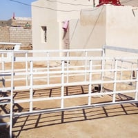 محجر • جديد • بكانه رميثه