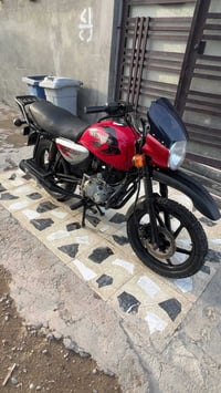بوكسر جبلي • ٢٠٢٣ • اوراق ضايعه