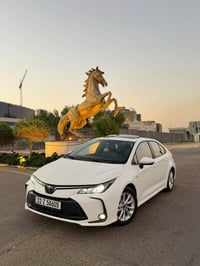 كورلا هايبرد • ٢٠٢٥ • رقم بغداد