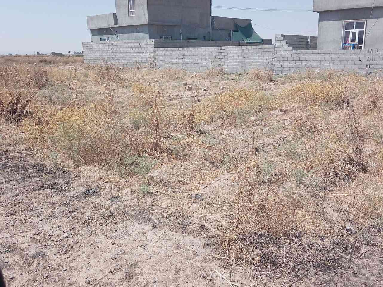 اربع قطع طبك للبيع مساحه القطعة الوحده 200متر
الحويجه البكاره قرية الربيع طبك مشروع المي... الجدول الشرقي
واصل ماء وكهرباء سعر القطعة 
6500000ست ملايين ونصف 
***********
