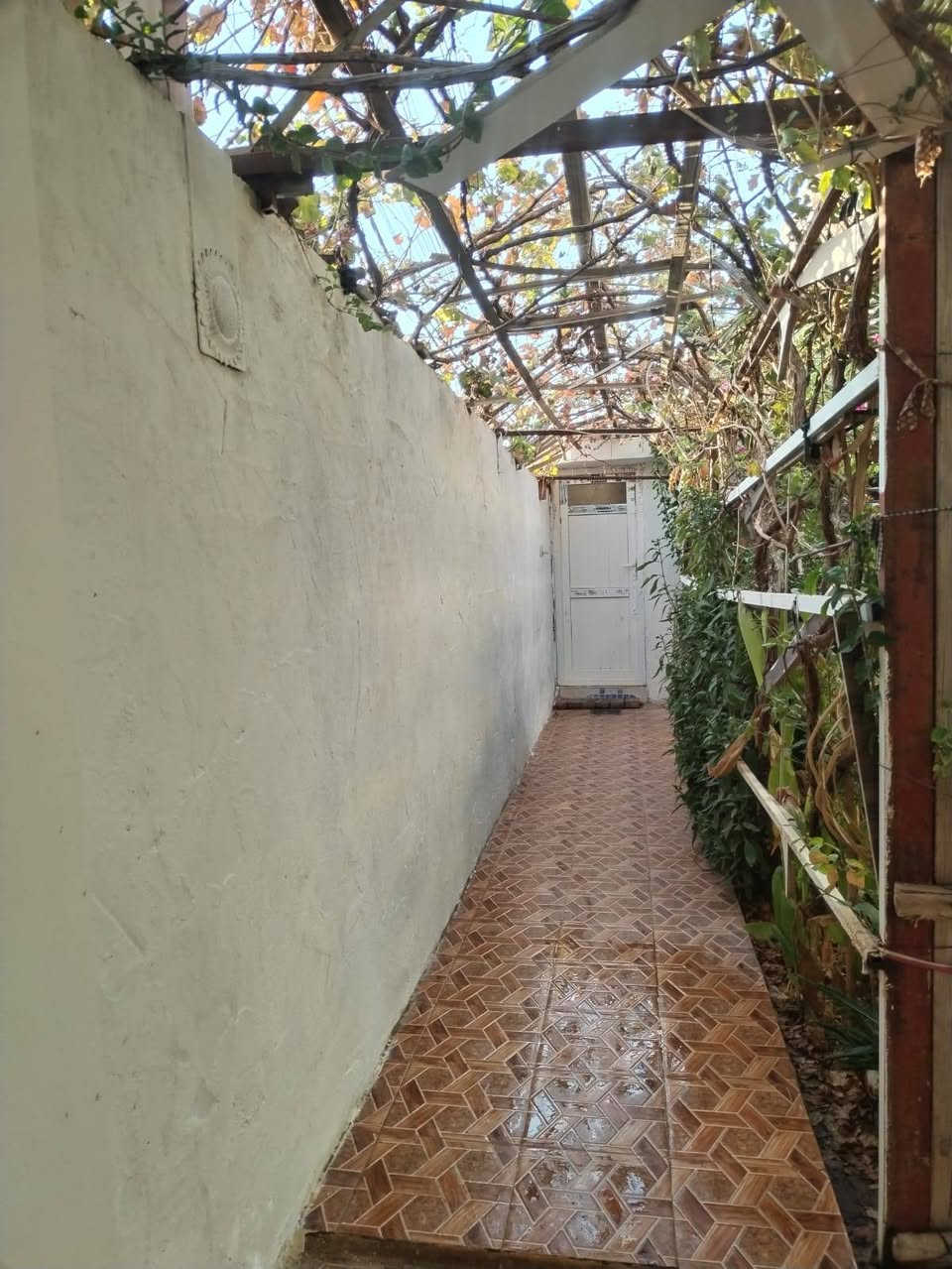 دار للبيع – موقع مميز جدًا في الرمادي 🏡
📍 الموقع: الرمادي – منطقة خمسة كيلو / دور الضباط
📌 قرب مجموعة مدارس هبة الرحمن
✨ المواصفات: 🔹 طابو صرف
🔹 المساحة 333 م²
🔹 دار ركن على شارعين
🔹 كراج سيارة
🔹 حديقة واسعة 🌿
🔹 مطبخ
🔹 صالة معيشة
🔹 هول واستقبال
🔹 كلدور
🔹 3 غرف نوم 🛏️
🔹 مجموعة صحيات داخلية وخارجية
🔹 ترك جانبي وخلفي لا يقل عن متر ونصف
⭐ دار مميز بموقع ممتاز ومساحة مناسبة للعائلة، مع واجهتين وارتدادات جانبية وخلفية.
📞 للاستفسار والتواصل مع صاحب العقار:
***********
