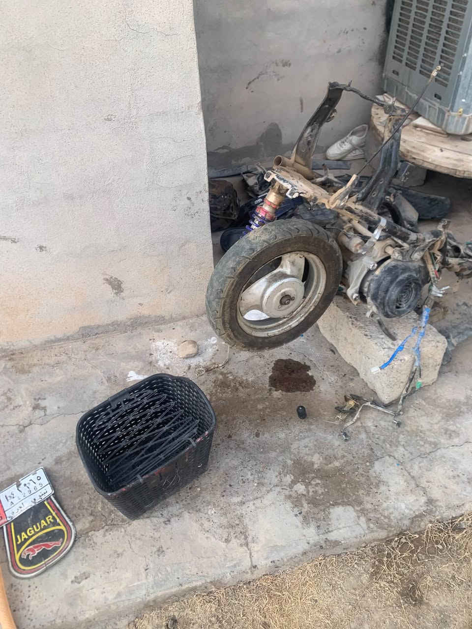 غراض بوتين • نظيف • توصيل