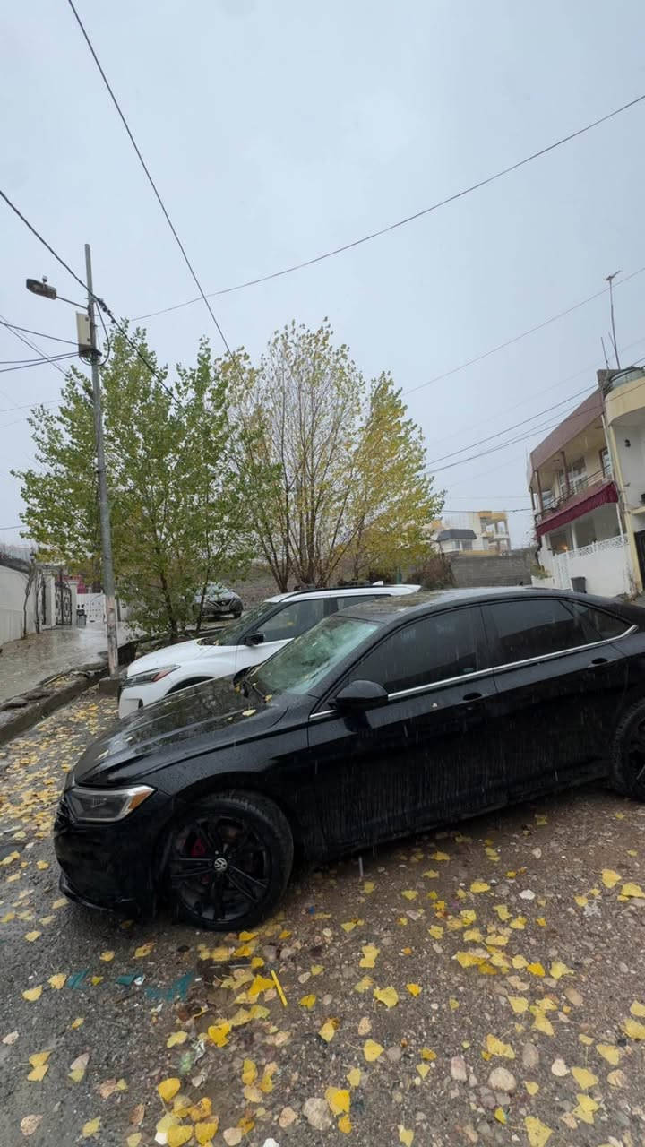 جيتا S • ٢٠١٩ • شقلاوة