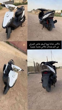 مراوس • تراوس • بصره