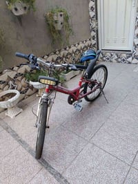بسكليت • حجم٢٤