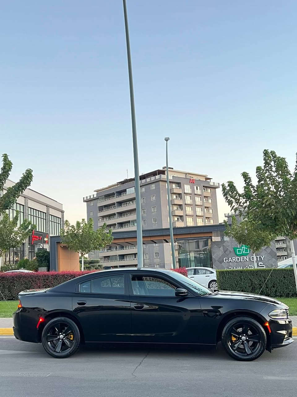 Dodge charger 2017  SXT
دوج چارجر ٢٠١٧ کلین تایتل
مواسەفات sxt
شاشەگەورە
بەصمە
شەخال
دەرگا بەصمە
کوشن کارەبا
حاسە
کامیرا
گێڕو مە کینەی بەشەرت نەکراوەتەوە
بێ بۆیاخو بێ ساردو بێ پارچە گۆڕانە تەنانەت دەعمیەکانیشی بە شەرت بۆیاخی نیە
هەموو گیانی بە شەرت
لە سەر دەقی شەریکە ماوە
دەعمی بۆ دەعمی بە شەرت
شوین سلیمانی 
***********
