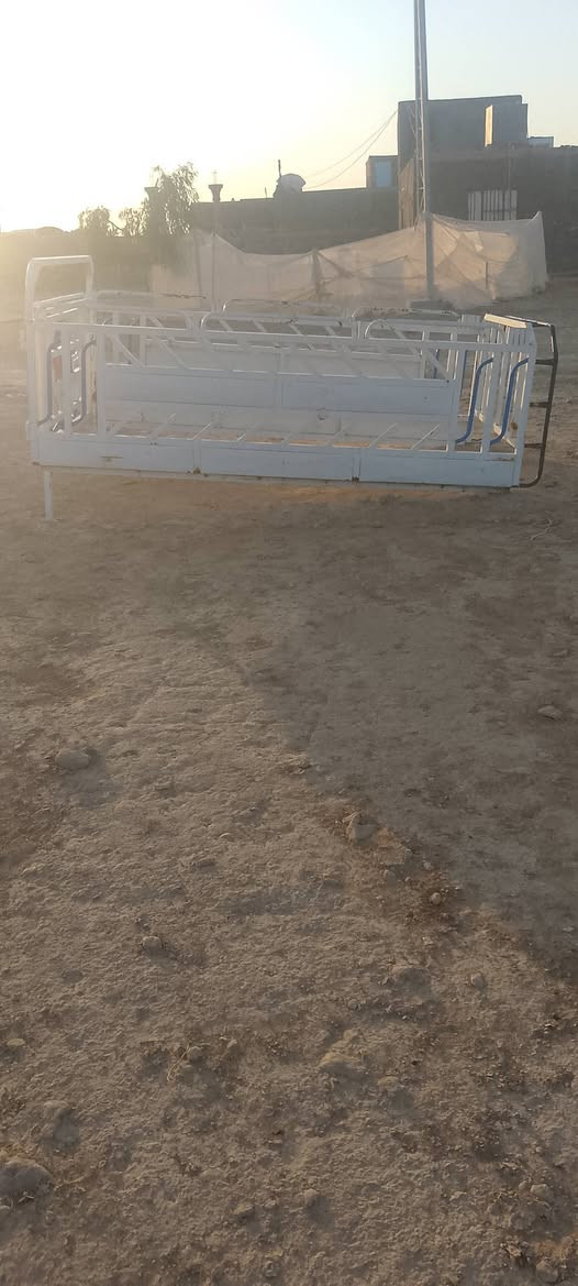 سلام عليكم اخوان محجل للبيع 350 وبي مجال المكان عانه
***********
