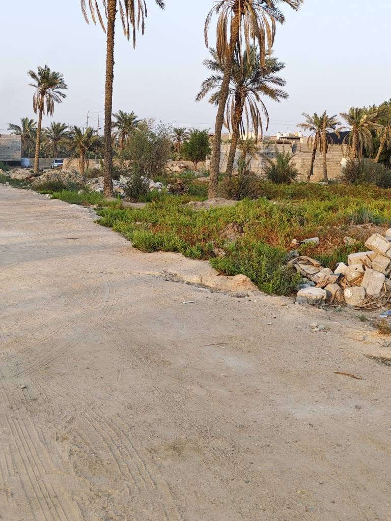 أبو الخصيب • ٢٠٠م • طابو زراعي