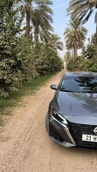التيما SV • ٢٠٢٤ • بدون صبغ