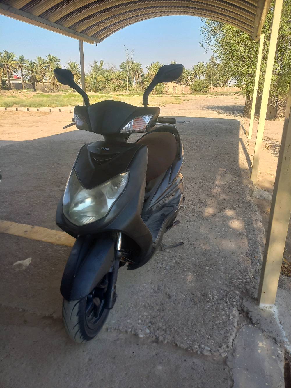 سكنس فحل للبيع 
دراجة تخبل شلعة ومعدل فول مكينة نشطة تجفيت صحيح ومضبوط كفرات بلادية دراجة كاملة نقص مابيها  نوزل اوراق كاملة السعر 465وبيها مجال ومراوس همين مكان بغداد النهروان شارع السايد الواحد للستفسار ***********