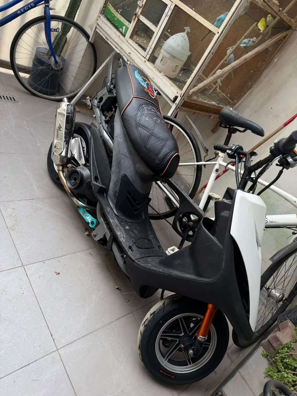ماكس عدلة • مكينة 58 • قطع اصلية