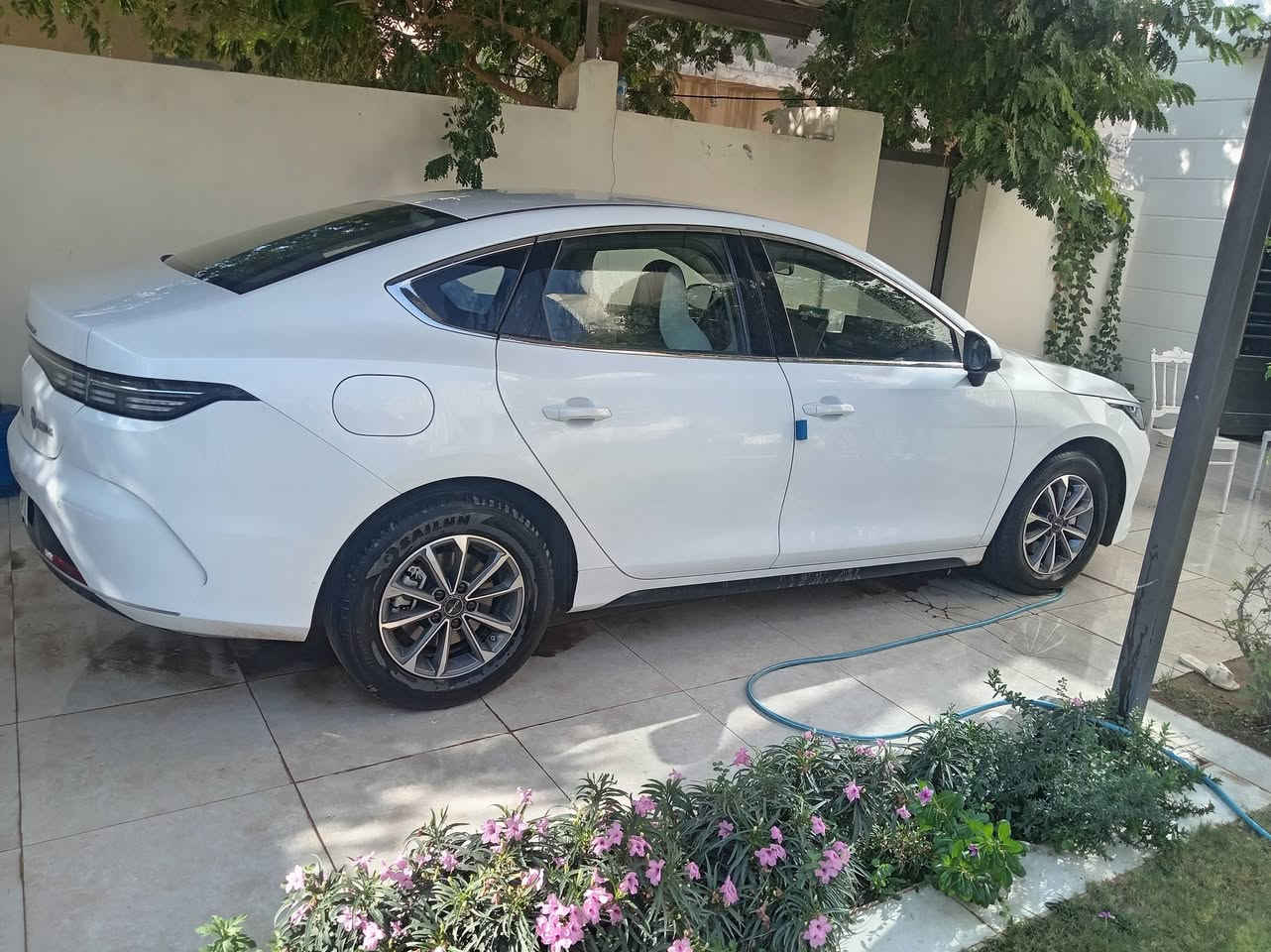 بي واي دي ٢٥ ماشيه ٨ الاف ونص رقم بغداد مالكها بغداد حي البنوك السياره كفاله عدا رصعات مال شارع السعر ٢٠٥٠٠ اتصال *********** واتساب موجود
