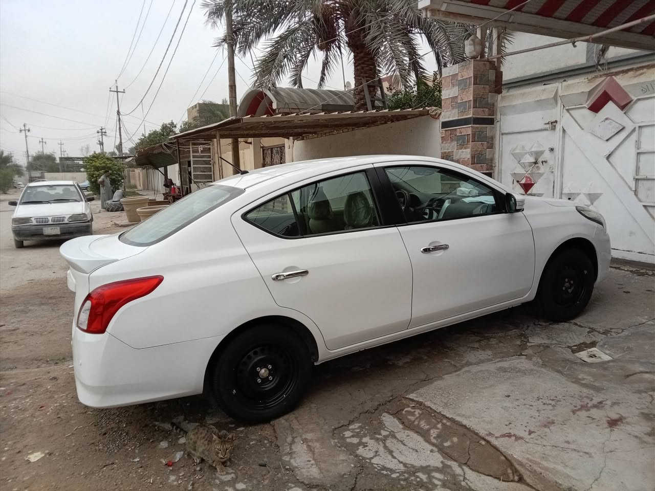 صني • ٢٠٢٥ • رقم اربيل