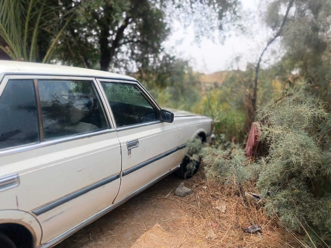 السلام عليكم  سياره سوبر موديل 82 محرك بطه رقم انكليزي بغداد سياره بلاد مامصبوغه كهربائيات شغاله تبريد نقص بس بوري
سنويه جديده لحد 2031 السعر 35وبيه مجال اي استفسار اتصل 
***********
