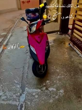 ماكس ثعلب • ٢٠٠٥ • نظيف جداً