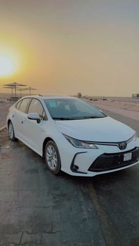 كورلا هايبرد • زيرو • رقم بغداد