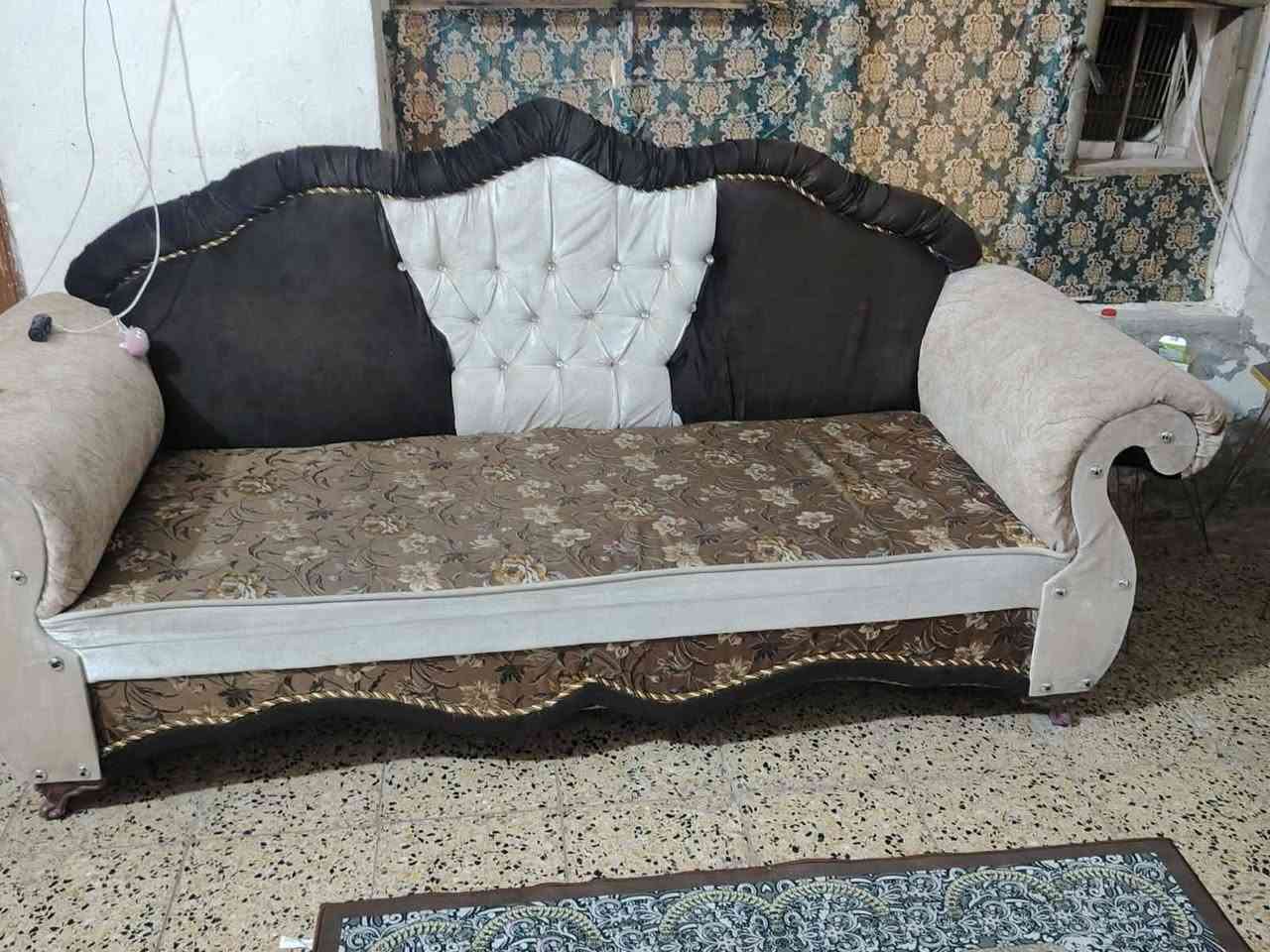 تخم كنب • العزه