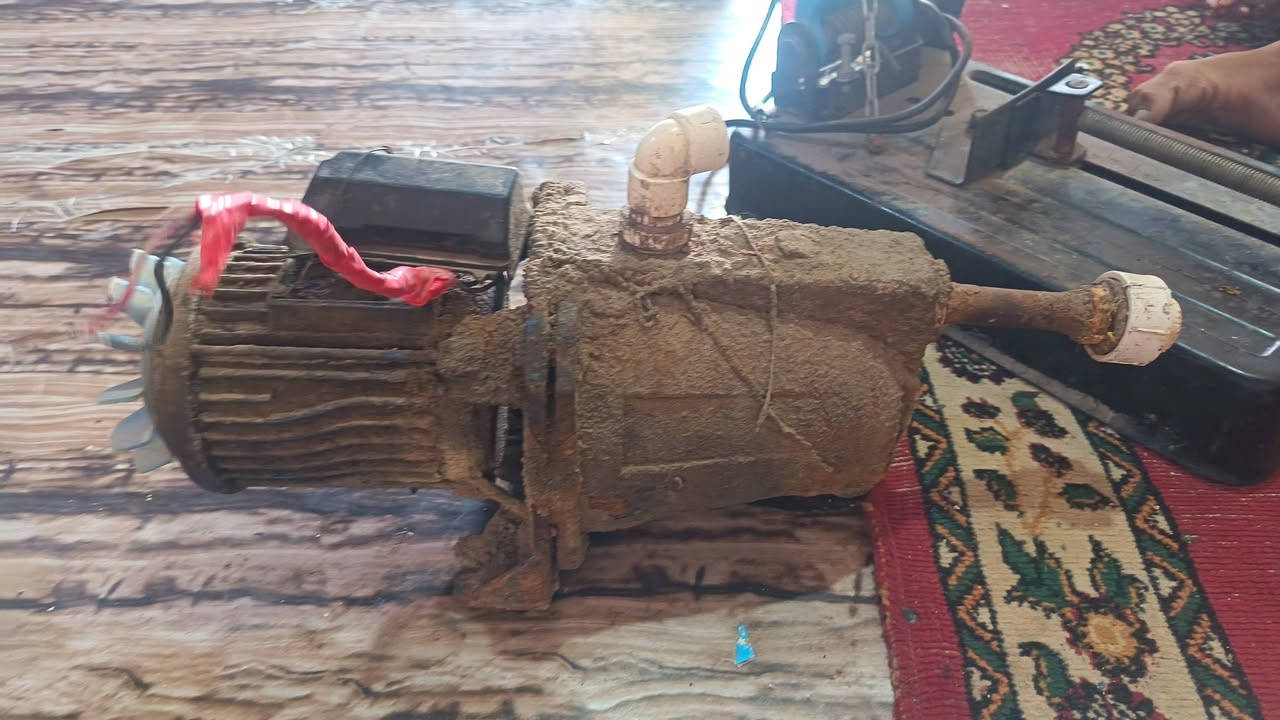 للبيع كلهن ب60 
المكان الزبير 
رقم الهاتف ***********
