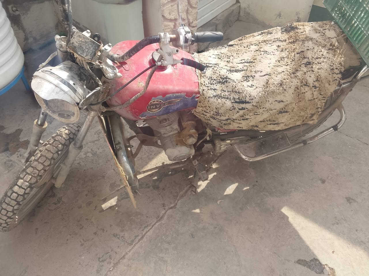 جني • تبخير • بدون اوراق