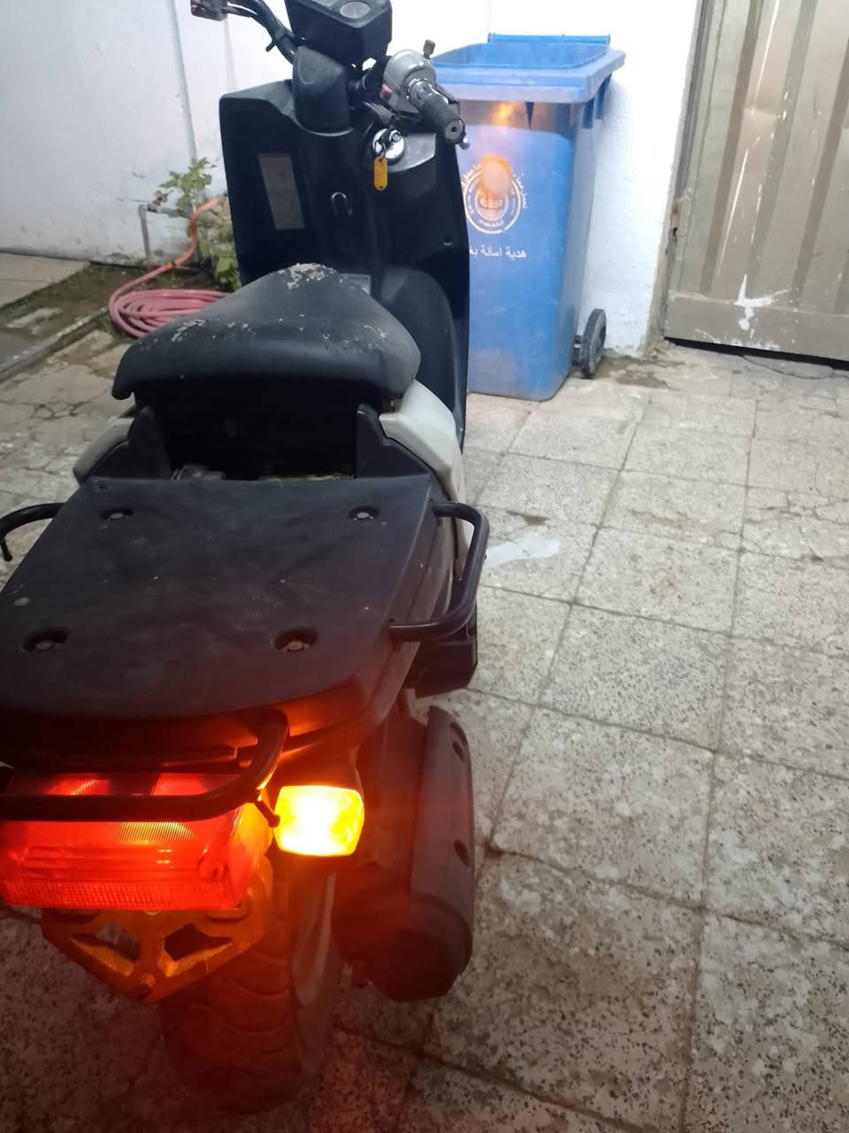 بيكب • فحل • منفيس