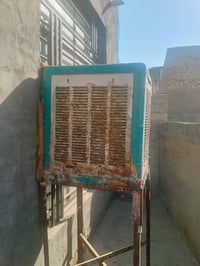 مبرده • شغاله • بدون عمله