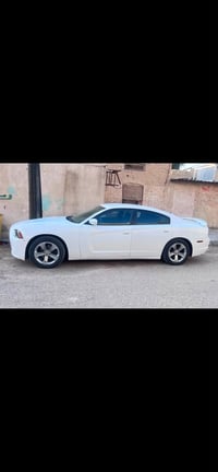 جارجر • مقاس ١٤ • بدون كصه