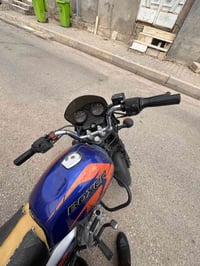 بوكسر جبلي • ٢٠٢٢ • اوراق كامله