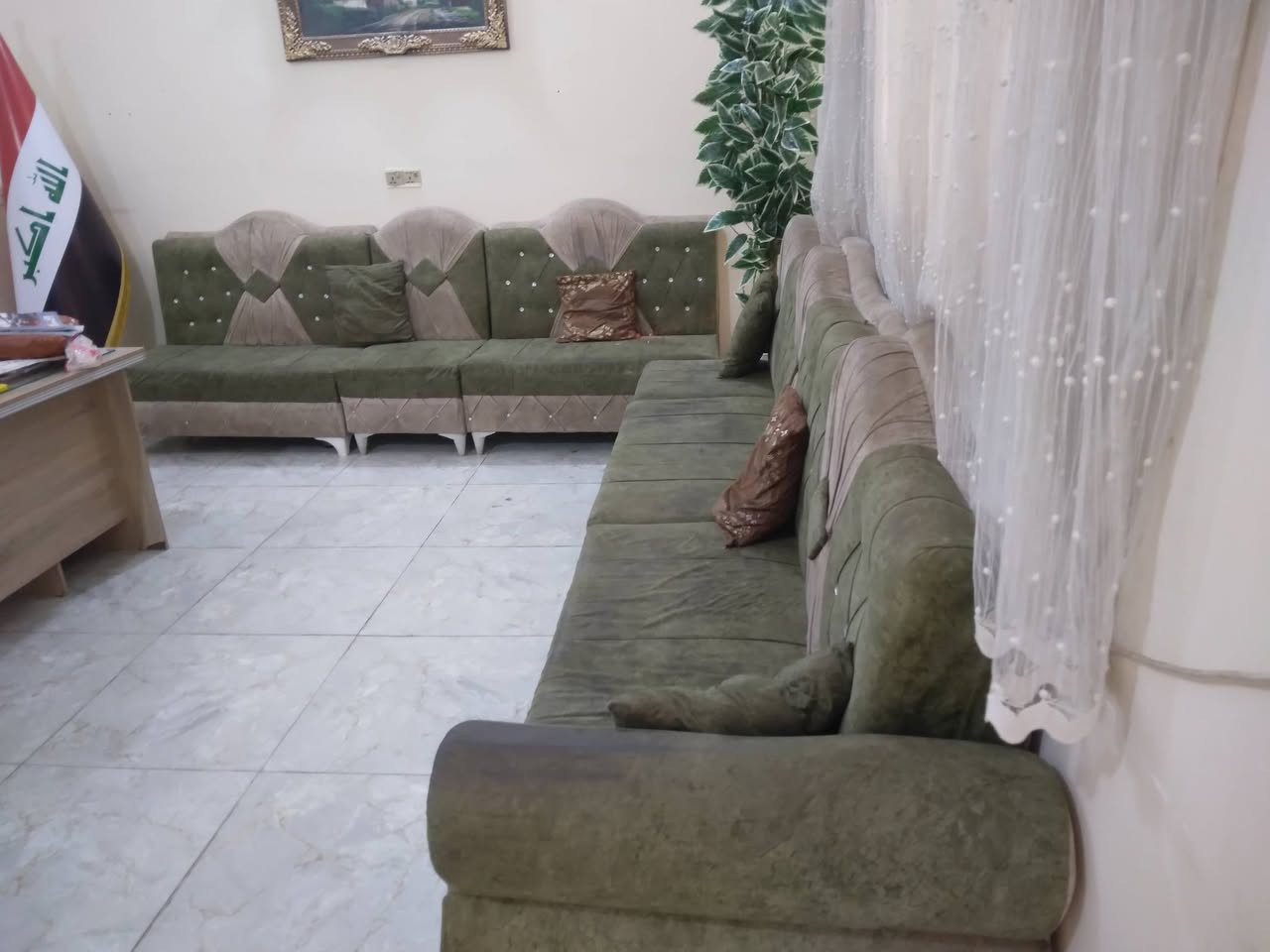 السلام عليكم 
الزيتوني عوزه بس تنضيف 
والجوزي نضيف 
***********
