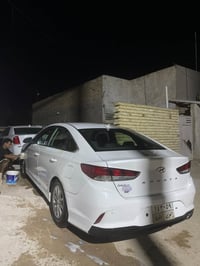 سوناته • ٢٠١٩ • وارد أمريكي