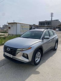 توسان • ٢٠٢٢ • بدون صبغ